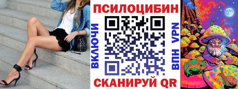 Галлюциногенные грибы Psilocybe  Купить где  Шиханы 